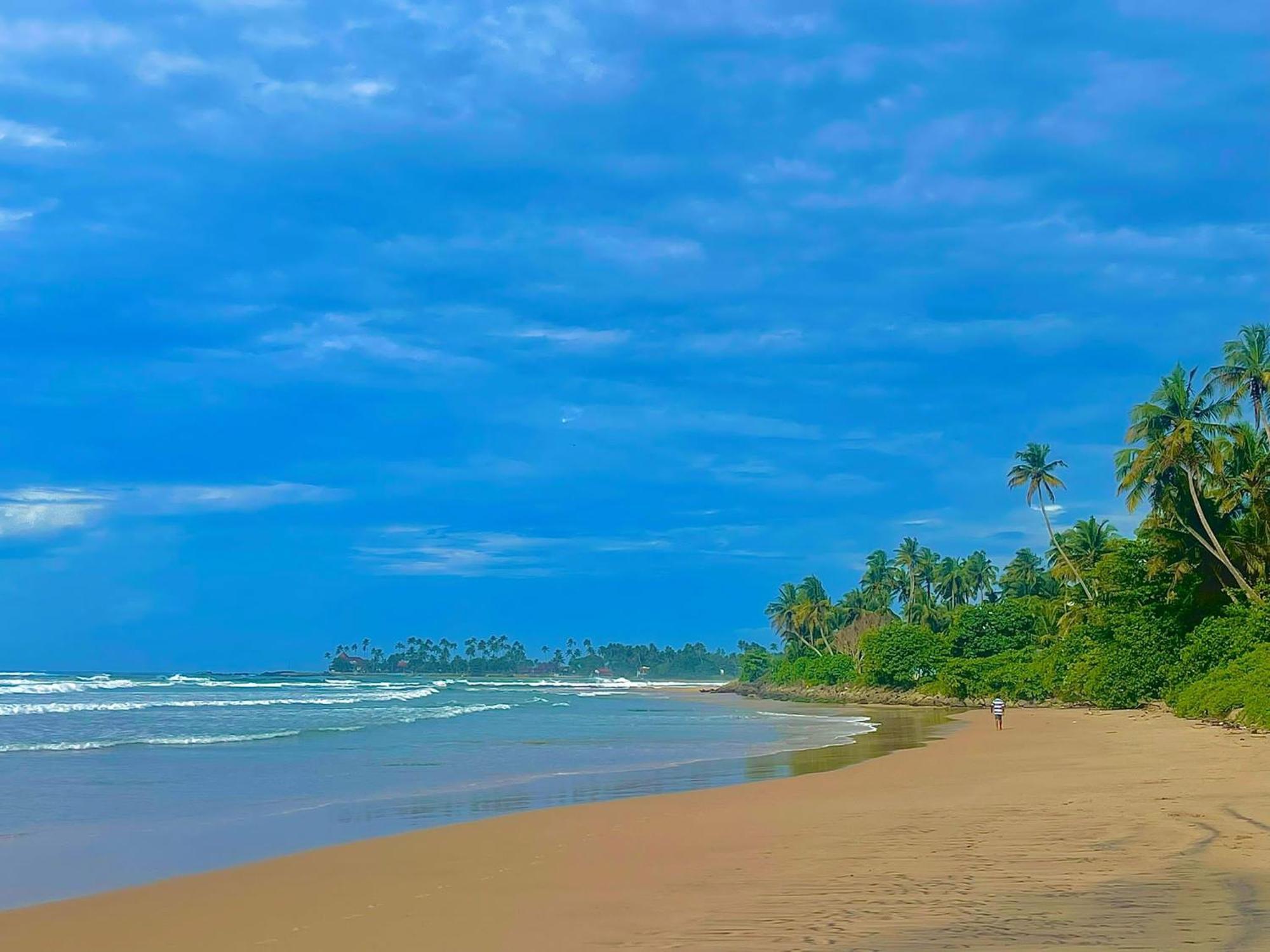 Amaya Beach Hotel Dikwella Bagian luar foto